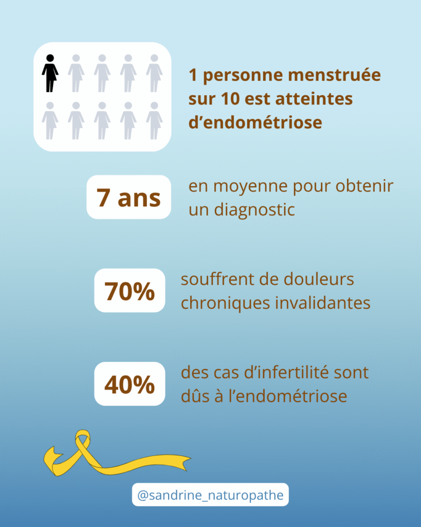 Infographie sur les chiffres clés de l’endométriose en France : 1 personne menstruée sur 10 concernée, 7 ans d’errance médicale en moyenne, 70 % souffrent de douleurs chroniques, 40 % des cas d’infertilité sont liés à l’endométriose.